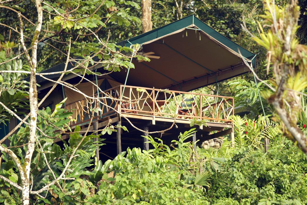 Rafiki Safari Lodge Savegre Room photo